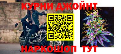 гидра Тулун