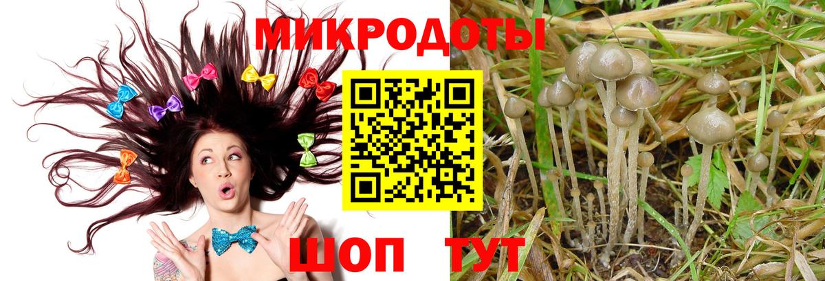 Псилоцибиновые грибы Psilocybine cubensis  Вход с VPN  Псилоцибиновые грибы Cubensis  Рубцовск 